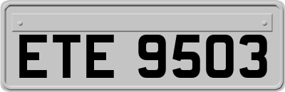 ETE9503