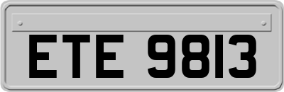 ETE9813