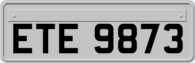 ETE9873