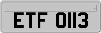 ETF0113