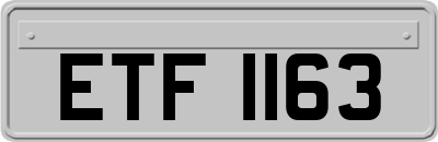 ETF1163