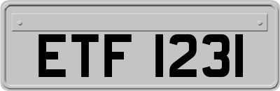 ETF1231