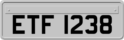 ETF1238