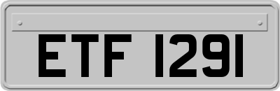 ETF1291