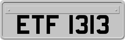 ETF1313