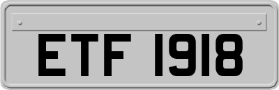 ETF1918