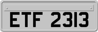 ETF2313