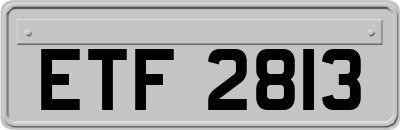 ETF2813