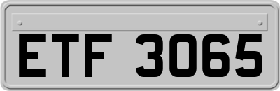 ETF3065