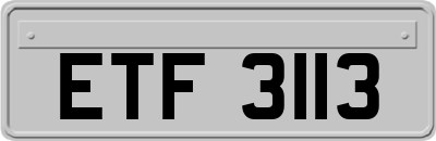 ETF3113