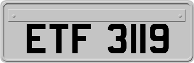 ETF3119