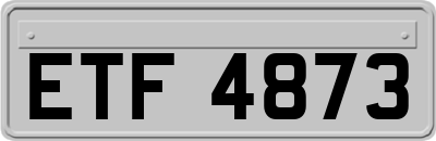 ETF4873