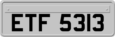 ETF5313