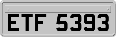 ETF5393