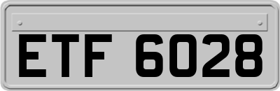 ETF6028