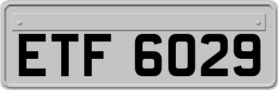 ETF6029