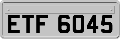 ETF6045