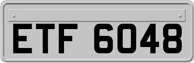ETF6048