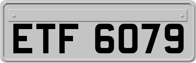 ETF6079