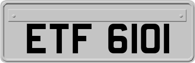 ETF6101
