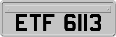 ETF6113