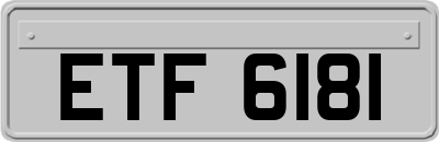 ETF6181
