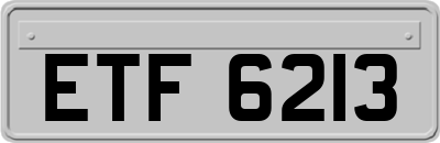 ETF6213