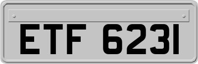 ETF6231