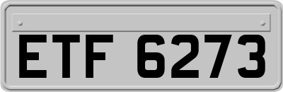 ETF6273