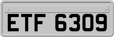 ETF6309