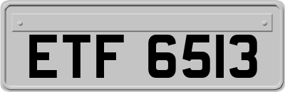 ETF6513