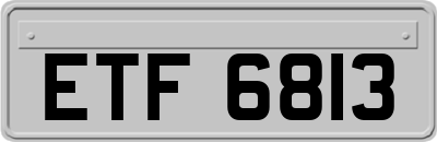 ETF6813