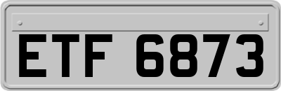 ETF6873