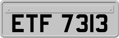 ETF7313