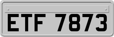 ETF7873