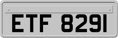 ETF8291