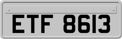 ETF8613