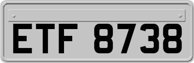 ETF8738