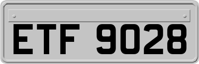 ETF9028