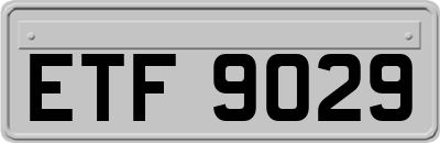 ETF9029