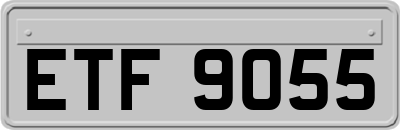 ETF9055