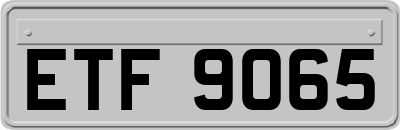 ETF9065