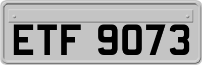 ETF9073