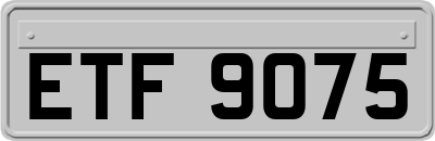ETF9075