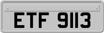 ETF9113