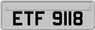 ETF9118