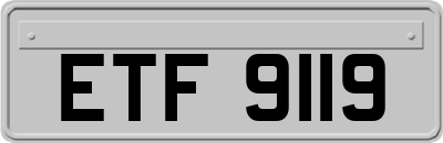 ETF9119