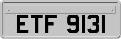 ETF9131