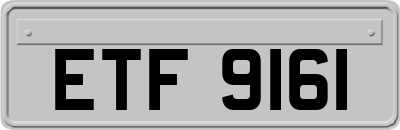 ETF9161