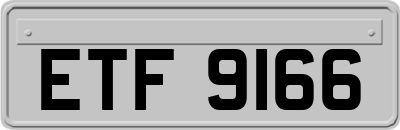 ETF9166
